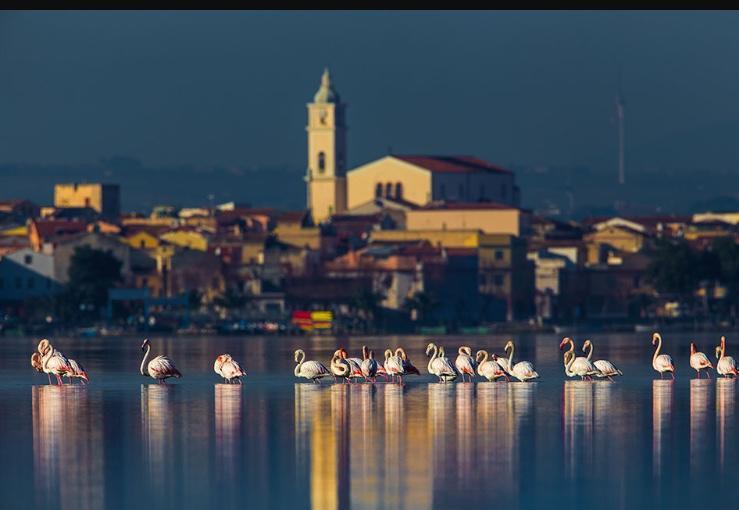 Casale Villa Giulia Marina Di Lesina Exteriér fotografie
